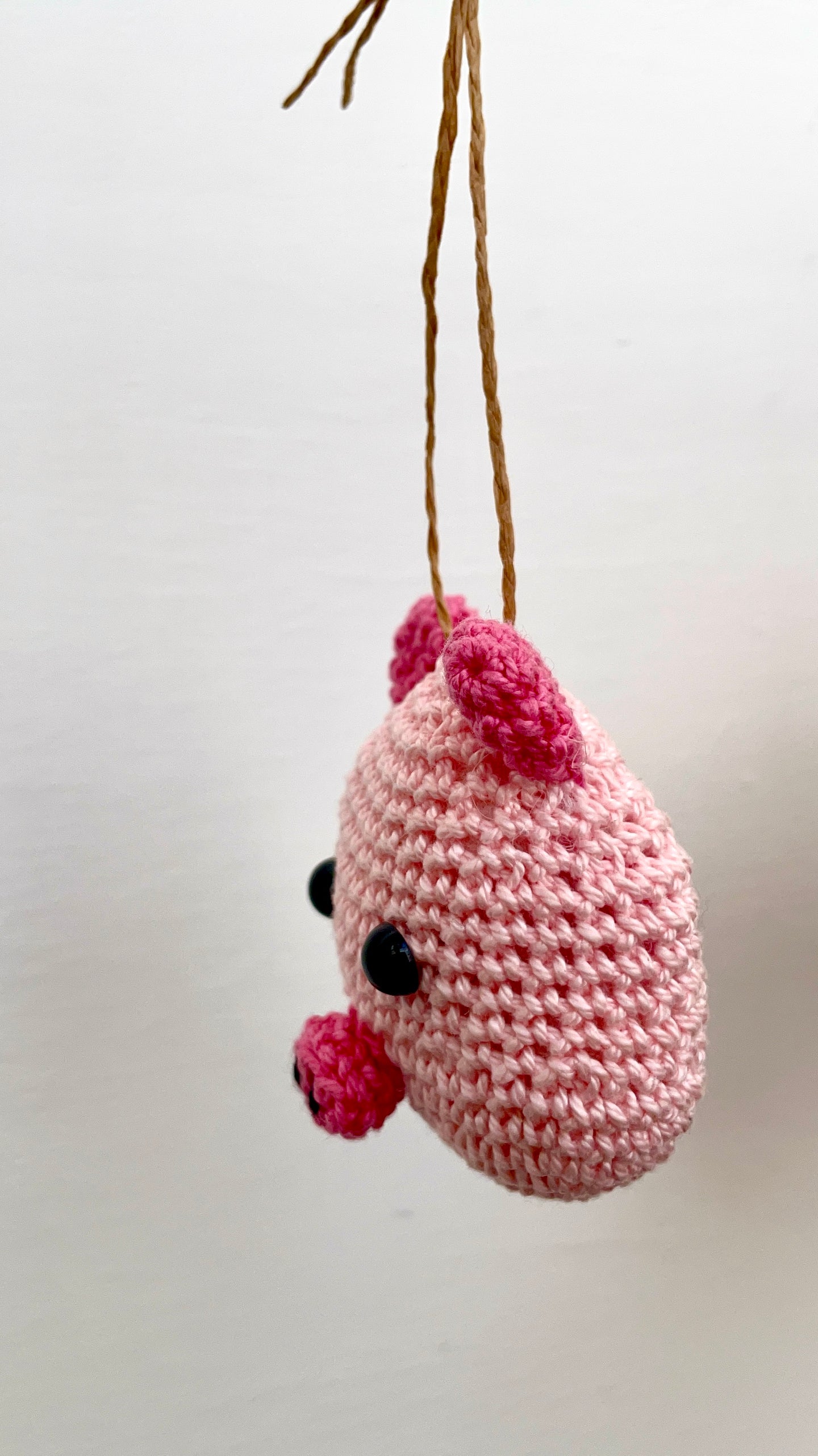 Piggylicious